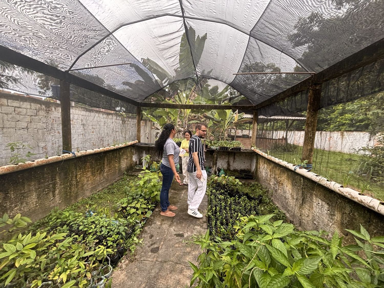 Viveiro de mudas usado na produção de hortaliças e plantas